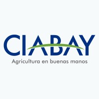 Ciabay